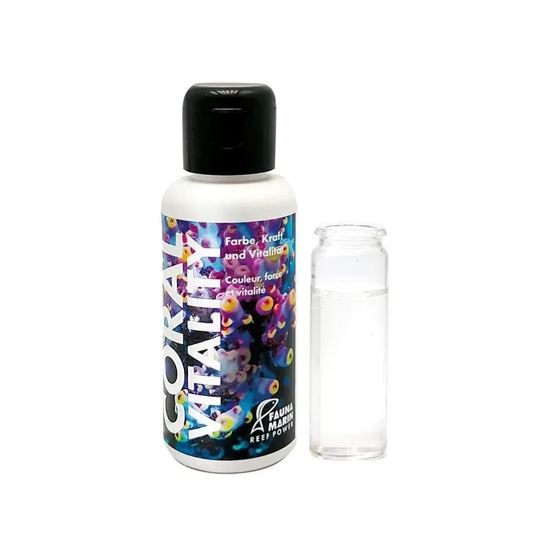 Fauna Marin Coral Vitality